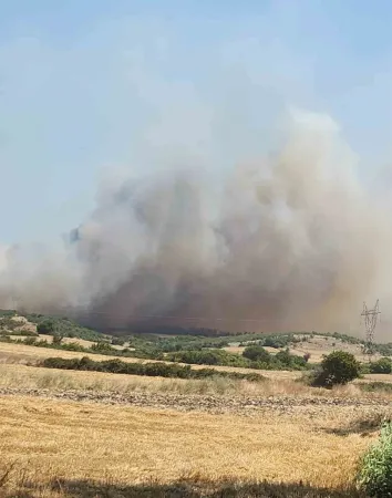 Balıkesir yangınlarla boğuşuyor.. Arazide çıkan yangın ormana sıçradı..