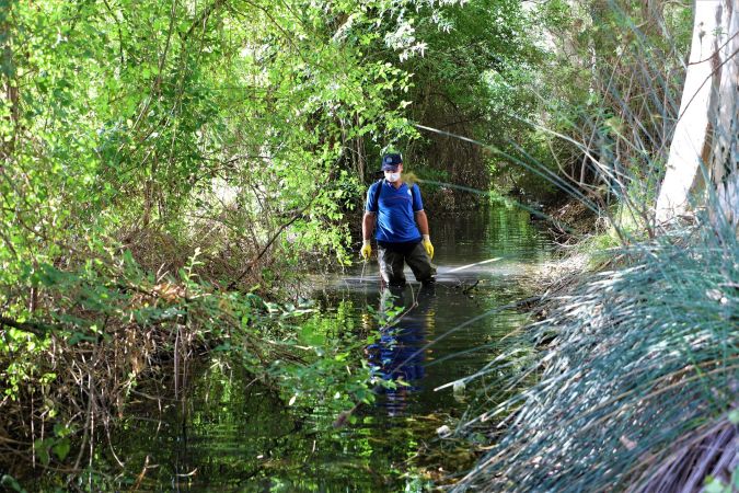 Muğla’da vektörle mücadelede ara yok