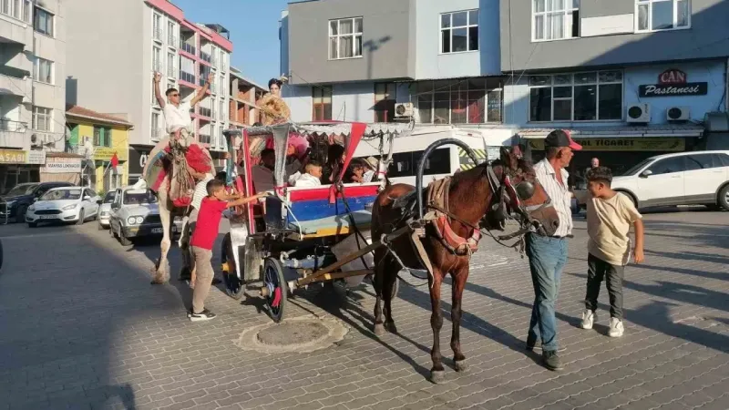 Gelin ve damat deve üzerinde Manyas turu yaptı