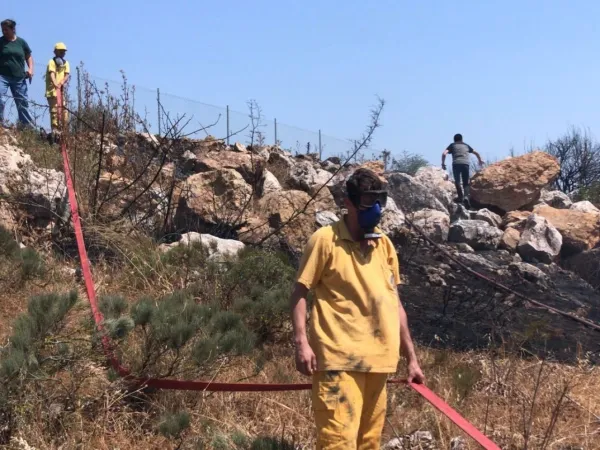 Balıkesir'de trafik kazası orman yangını çıkardı.. Ekipler seferber oldu