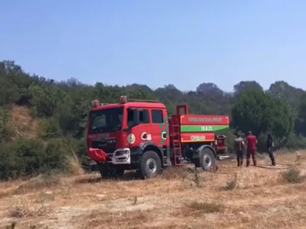 Balıkesir'de trafik kazası orman yangını çıkardı.. Ekipler seferber oldu