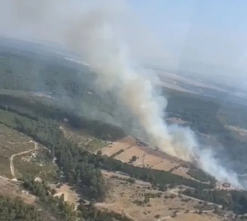 İzmir'de orman yangını.. Müdahaleler sürüyor