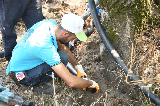 Başkan Akın, Erdek’te 20 bin zeytin ağacını suya kavuşturdu