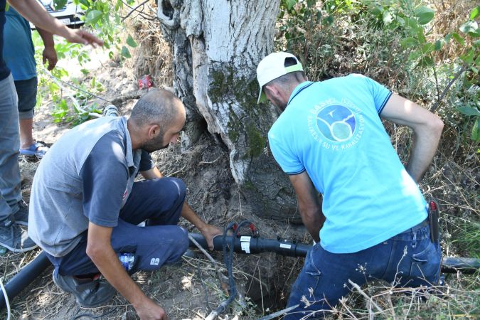 Başkan Akın, Erdek’te 20 bin zeytin ağacını suya kavuşturdu