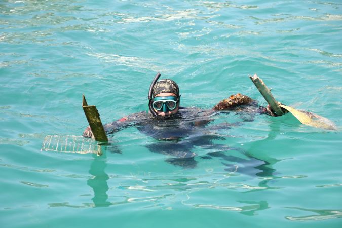 Bodrum Torba’da deniz dibi temizliğinden çıkanlar şaşırttı