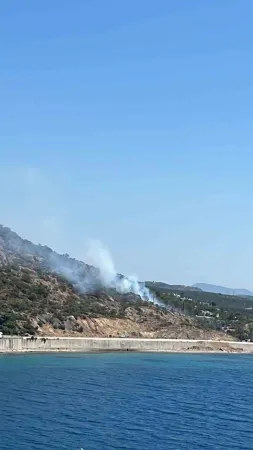 Kuzey Ege'nin en önemli tatil bölgesinde yangın.. 