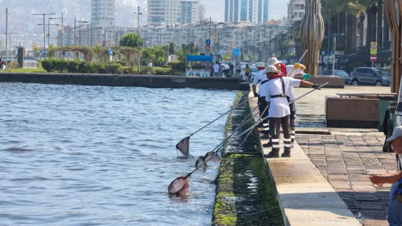 İzmir Körfezi'nde temiz deniz için seferberlik