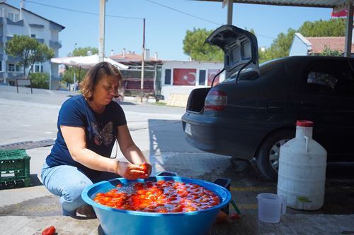 Ayvalık’ta salça zamanı