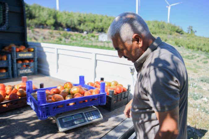 Bornova Belediyesi'nden yerel üreticilere tam destek