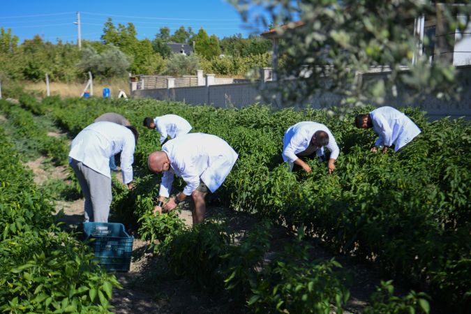 Bornova Belediyesi'nden yerel üreticilere tam destek