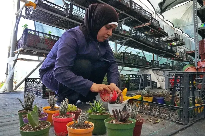 İzmir'de Tohumlar kadınların ellerinde yeşeriyor