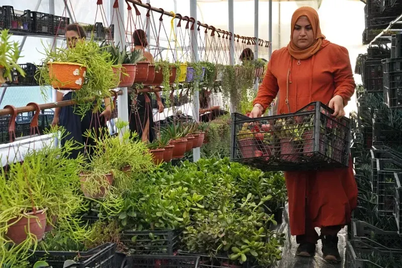 İzmir'de Tohumlar kadınların ellerinde yeşeriyor