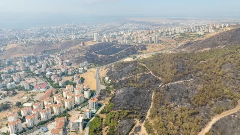 Başkan Tugay yangının etkilediği bölgelerde incelemelerde bulundu