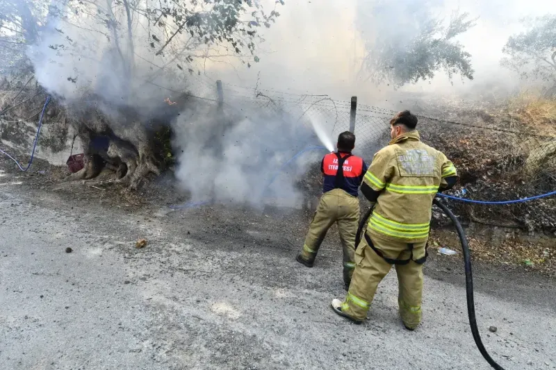 İzmir İtfaiyesi yangınlar için seferber oldu