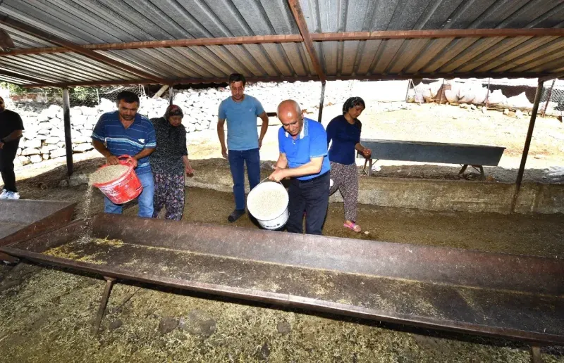 Büyükşehir yangından etkilenen köylerin yaralarını sarıyor