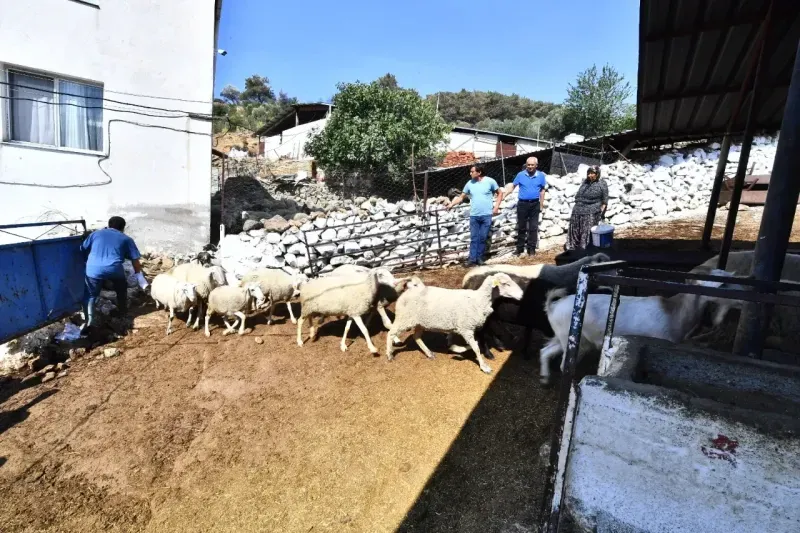 Büyükşehir yangından etkilenen köylerin yaralarını sarıyor