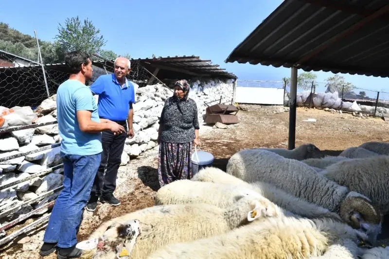 Büyükşehir yangından etkilenen köylerin yaralarını sarıyor