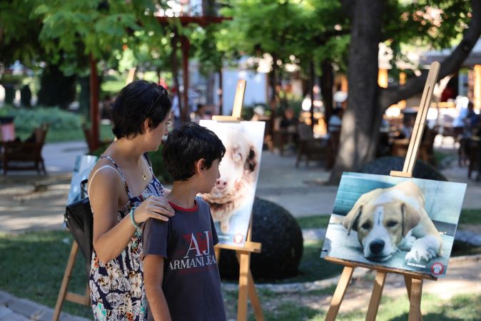 Menteşe Belediyesi can dostları farkındalık sergisi açıldı