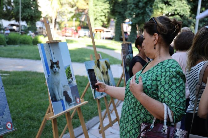 Menteşe Belediyesi can dostları farkındalık sergisi açıldı