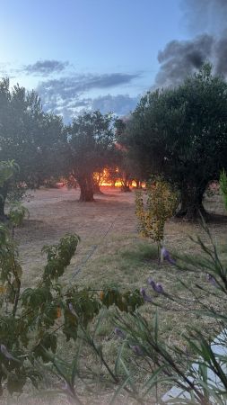 Ayvalık - Çamlık Laka mevkiinde çıkan yangın korkuttu