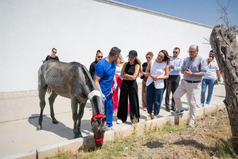 Seren Serengil’den yangından kurtarılan can dostlara destek ziyareti