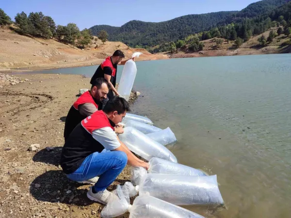 Kayalar göletine 50 sazan balığı yavrusu salındı