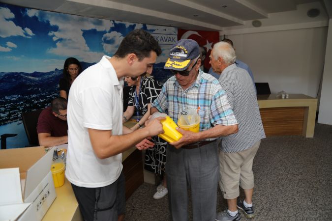 Şimdi “Yeşil Bodrum Mandalini” zamanı