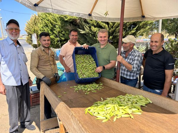 Canbey Gömeç’te Bamya hasadına katıldı