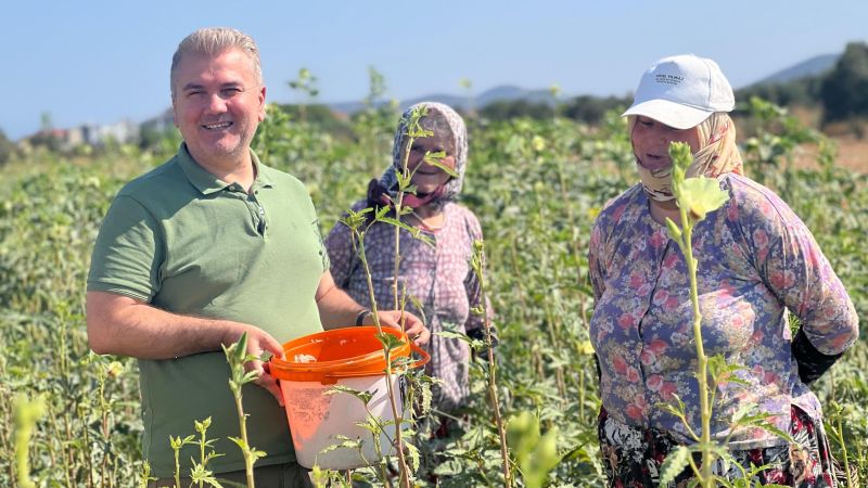 Canbey Gömeç’te Bamya hasadına katıldı