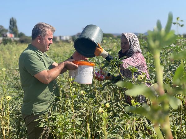 Canbey Gömeç’te Bamya hasadına katıldı