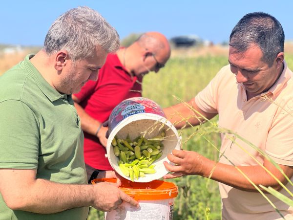 Canbey Gömeç’te Bamya hasadına katıldı