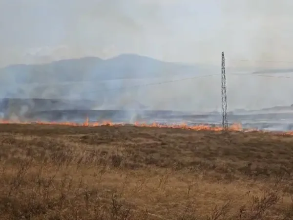 Paşalimanı Adası’nda yangın...Karadan ve havadan müdahale sürüyor