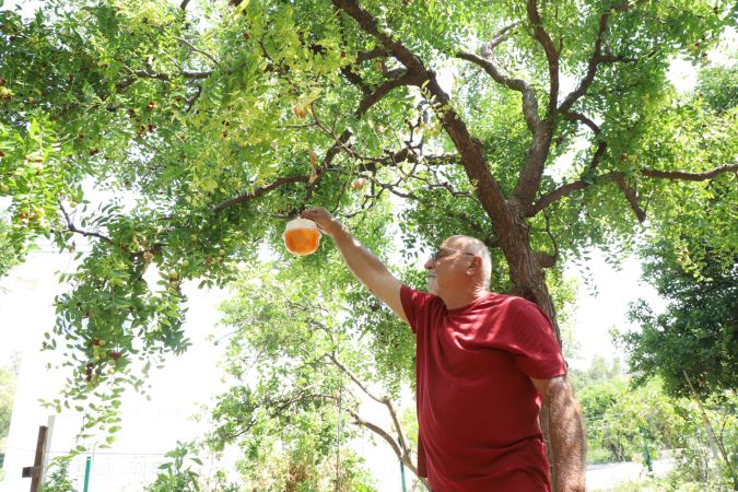 Büyükşehir’den Akdeniz Meyve Sineğine tuzak