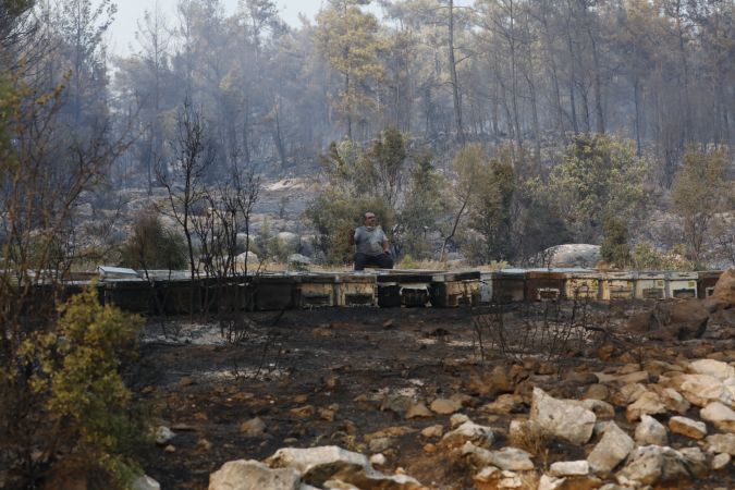 Büyükşehir yangından etkilenen arıcılara destek olacak