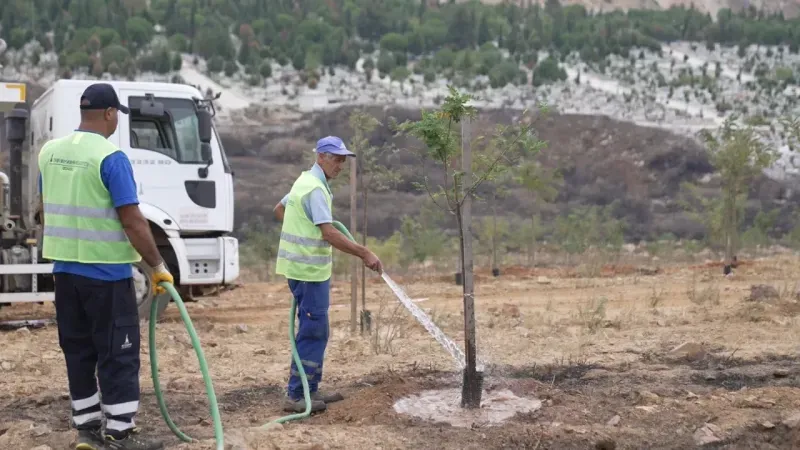 9 Eylül’de İzmir’in dağlarında çiçekler açtı