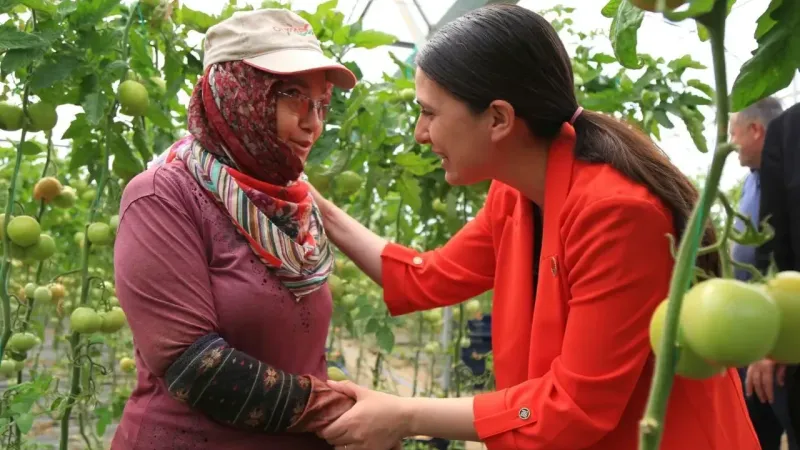 CHP'li Özcan, Bakan Yumaklı’ya sordu; “776 bin hektar ekilemeyen tarım arazisinin ne kadarı Muğla ili sınırları içerisinde yer almaktadır?”