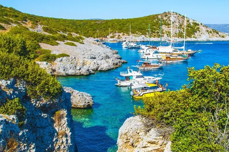 Bodrum Arkeolojiseverlere kapısını aralıyor.. Uluslararası Sempozyum yine Bodrum'da yapılacak