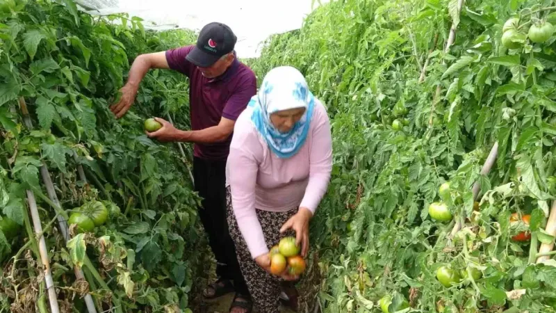 Müjde! çiftçilerin hayatını kolaylaştıran sistem denendi onaylandı...