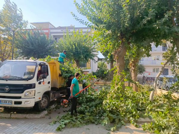 Efeler’in yeşil ekipleri ağaçları buduyor