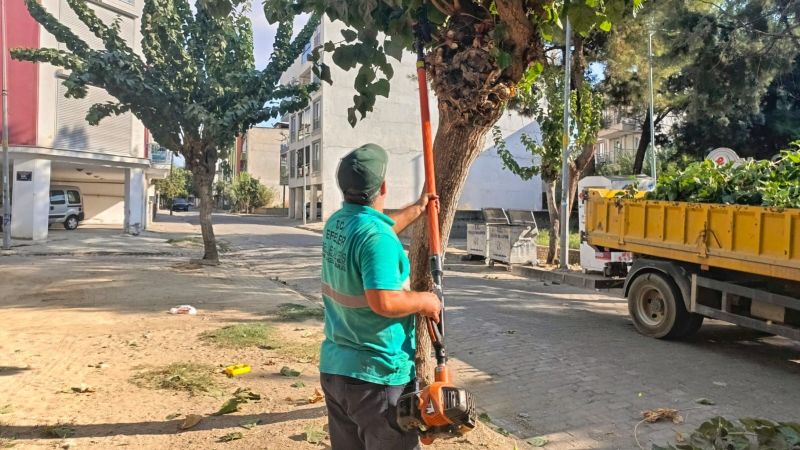 Efeler’in yeşil ekipleri ağaçları buduyor