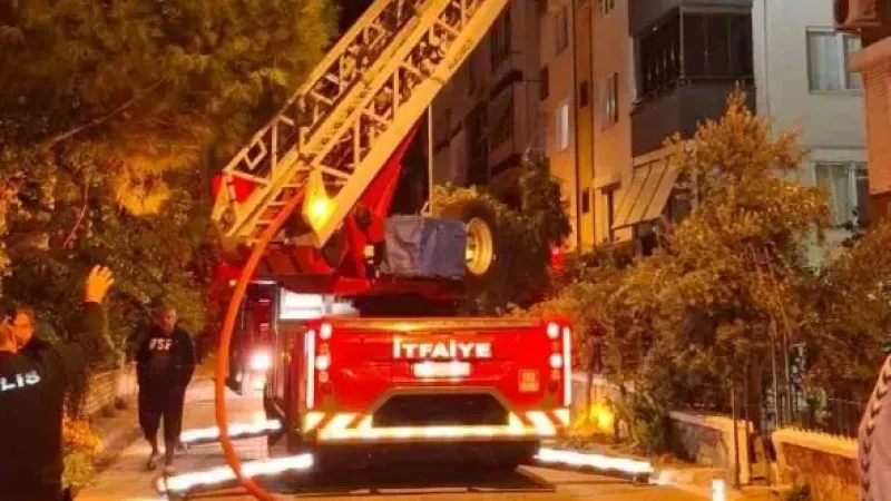 Edremit Körfezi güne yangın ile merhaba dedi.. Alevler geceyi gündüze çevirdi..