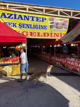 Ayvalık’ta Gaziantep’in yöresel ürünleri iştah kabartıyor