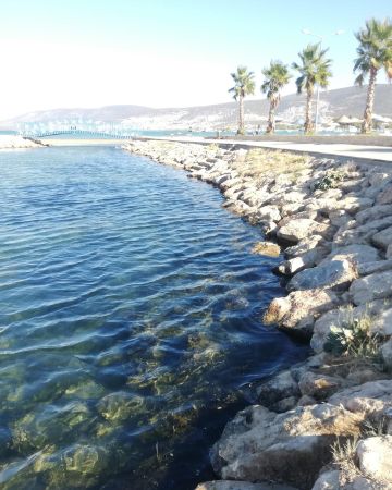 Bodrum Akbük'te temizlik çalışmaları tüm hızıyla devam ediyor