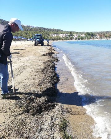 Bodrum Akbük'te temizlik çalışmaları tüm hızıyla devam ediyor