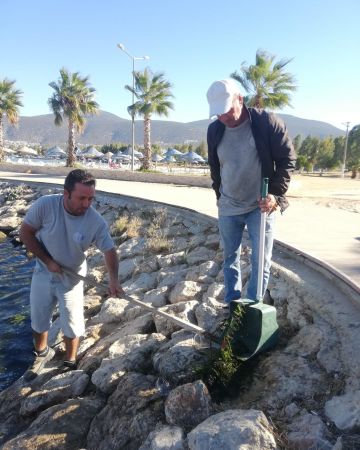 Bodrum Akbük'te temizlik çalışmaları tüm hızıyla devam ediyor