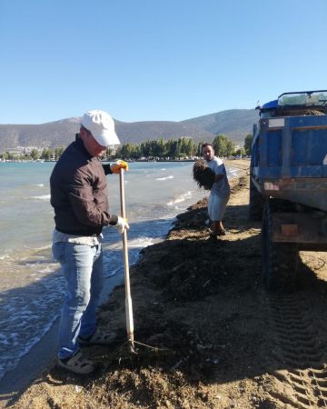 Bodrum Akbük'te temizlik çalışmaları tüm hızıyla devam ediyor