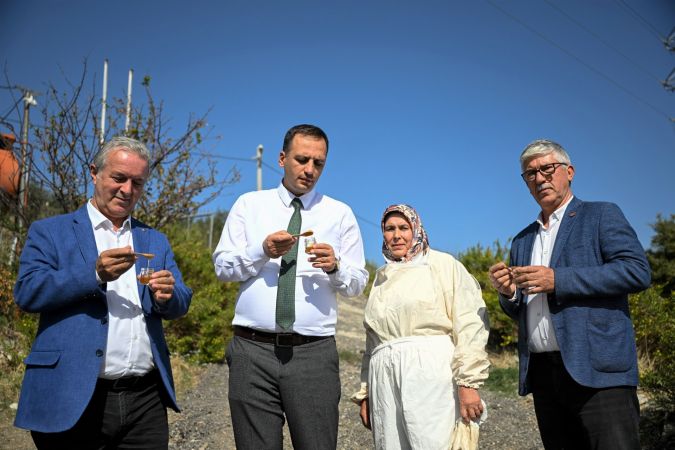 Bornova’da bal gibi proje