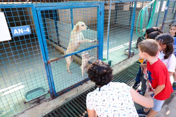 Bodrum'da Hayvanları Koruma Günü’nde anlamlı ziyaret