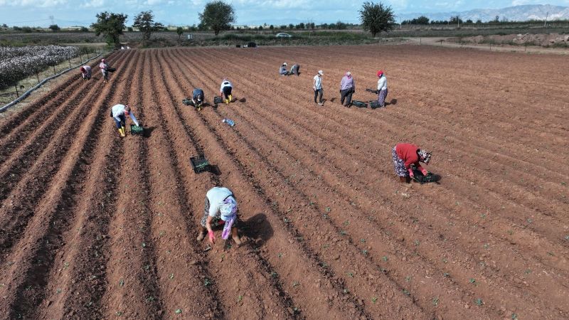 Efeler Belediyesi’nden sağlıklı gıda üretimi