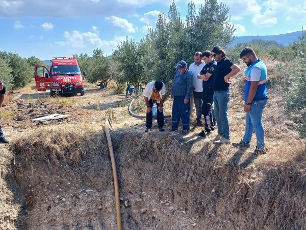 Didim’de kuyuya düşen köpek belediye ekiplerince kurtarıldı